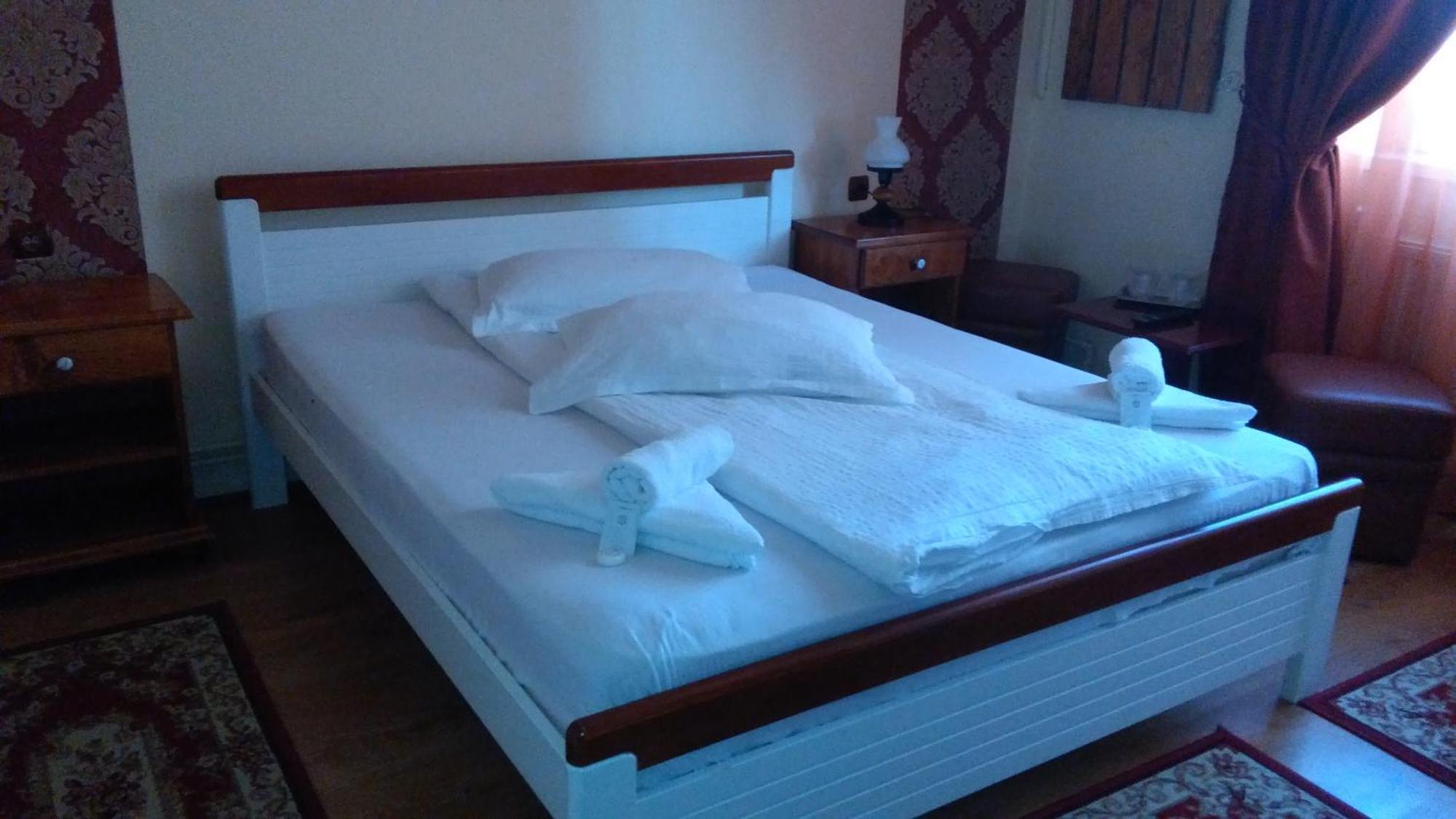 Vila Nicoleta Hotell Sibiu Eksteriør bilde